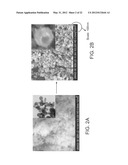 METHODS FOR THE FABRICATION OF NANOSTRUCTURES HEATING ELEMENTS diagram and image