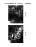 METHODS FOR THE FABRICATION OF NANOSTRUCTURES HEATING ELEMENTS diagram and image