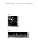 DIFFRACTION GRATING, ORGANIC EL ELEMENT USING THE SAME, AND MANUFACTURING     METHODS THEREOF diagram and image