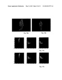 IDENTIFICATION APPARATUS AND METHOD FOR IDENTIFYING PROPERTIES OF AN     OBJECT DETECTED BY A VIDEO SURVEILLANCE CAMERA diagram and image