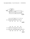 METHOD FOR COPY PROTECTION diagram and image