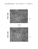 CELL CLASSIFICATION METHOD, IMAGE PROCESSING PROGRAM AND IMAGE PROCESSING     DEVICE USING THE METHOD, AND METHOD FOR PRODUCING CELL AGGREGATION diagram and image