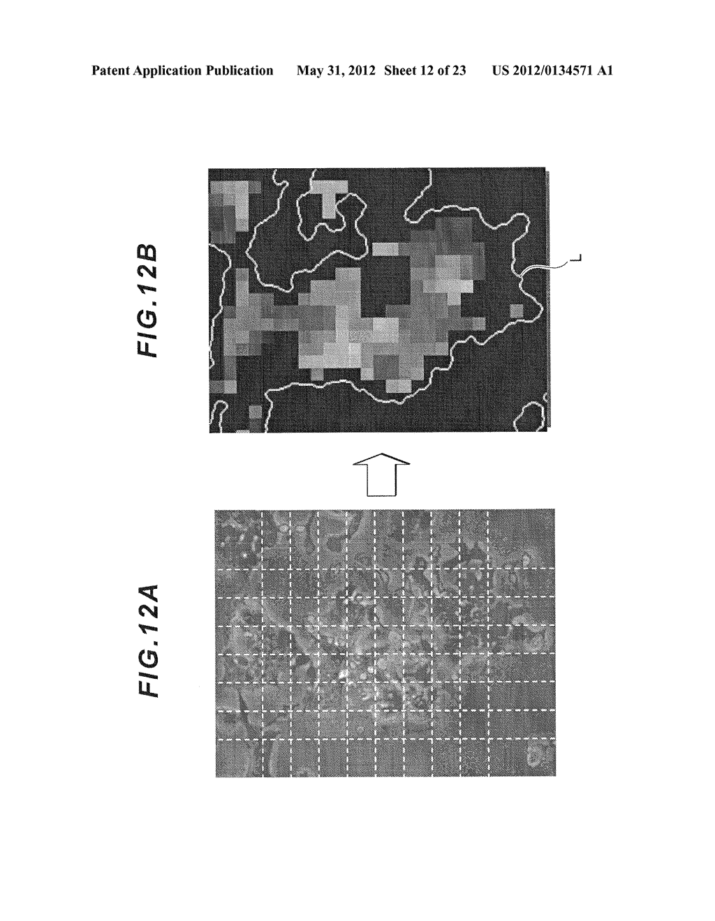 CELL CLASSIFICATION METHOD, IMAGE PROCESSING PROGRAM AND IMAGE PROCESSING     DEVICE USING THE METHOD, AND METHOD FOR PRODUCING CELL AGGREGATION - diagram, schematic, and image 13