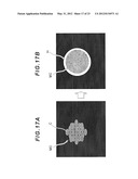 CELL CLASSIFICATION METHOD, IMAGE PROCESSING PROGRAM AND IMAGE PROCESSING     DEVICE USING THE METHOD, AND METHOD FOR PRODUCING CELL AGGREGATION diagram and image