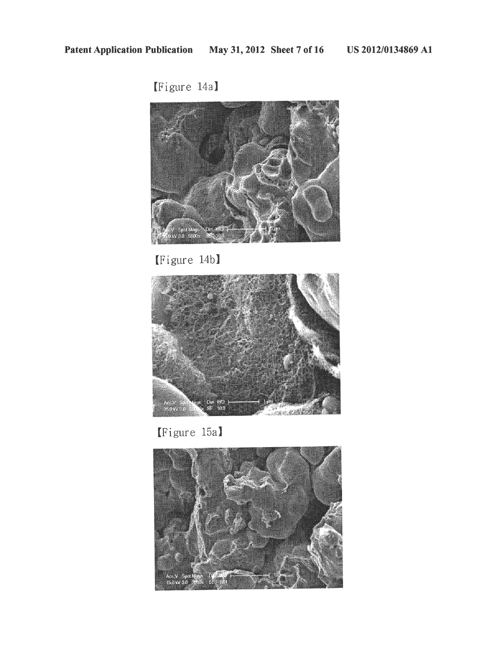 COMPOSITE SINTERING MATERIALS USING CARBON NANOTUBE AND MANUFACTURING     METHOD THEREOF - diagram, schematic, and image 08