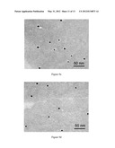 METHOD FOR FABRICATING A GOLD NANOPARTICLE diagram and image