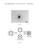 METHOD FOR FABRICATING A GOLD NANOPARTICLE diagram and image