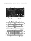 Apparatus and method for detecting one or more analytes diagram and image