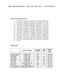 MODULATION OF TERMINASE ACTIVITY AT TELOMERES AND DNA DOUBLE-STRAND BREAKS diagram and image