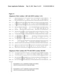 MODULATION OF TERMINASE ACTIVITY AT TELOMERES AND DNA DOUBLE-STRAND BREAKS diagram and image