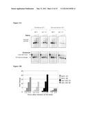 MODULATION OF TERMINASE ACTIVITY AT TELOMERES AND DNA DOUBLE-STRAND BREAKS diagram and image