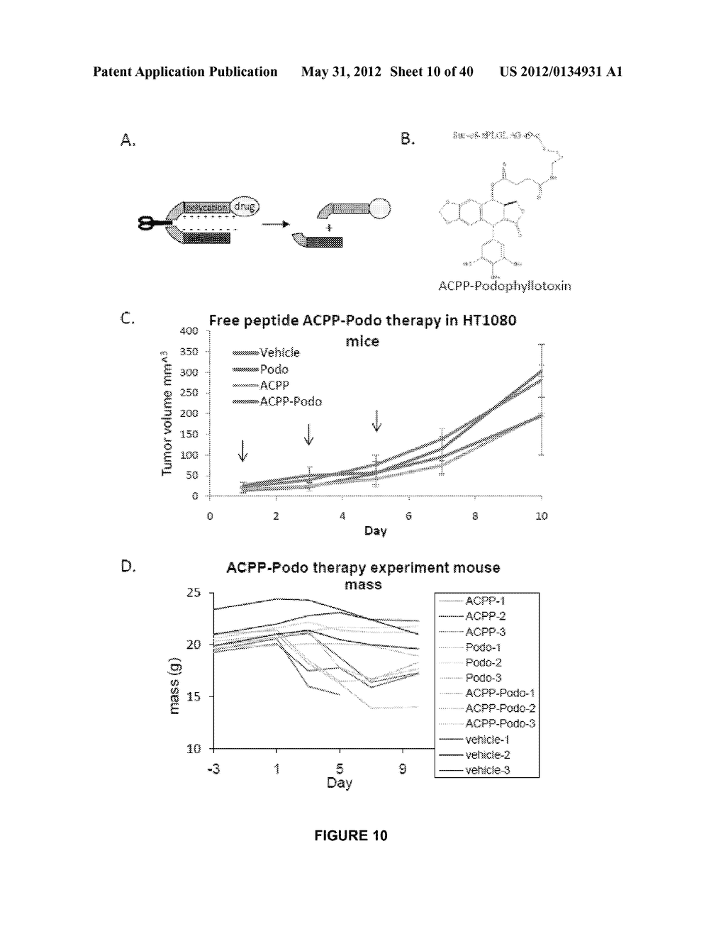 PEPTIDES WHOSE UPTAKE IN CELLS IS CONTROLLABLE - diagram, schematic, and image 11