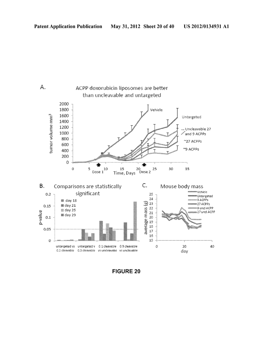 PEPTIDES WHOSE UPTAKE IN CELLS IS CONTROLLABLE - diagram, schematic, and image 21