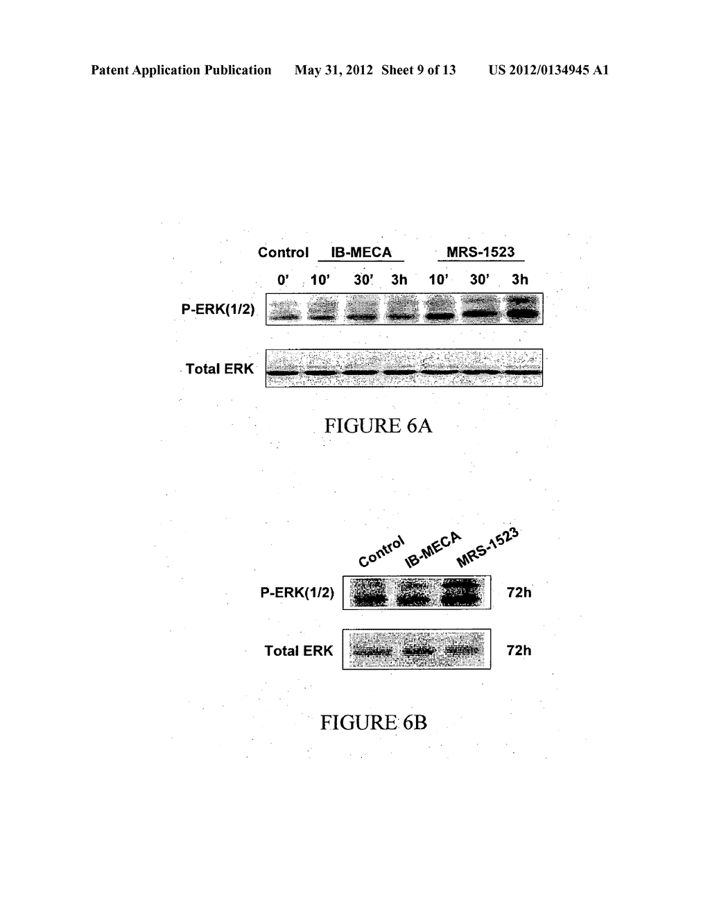 A3 ADENOSINE RECEPTOR LIGANDS FOR MODULATION OF PIGMENTATION - diagram, schematic, and image 10