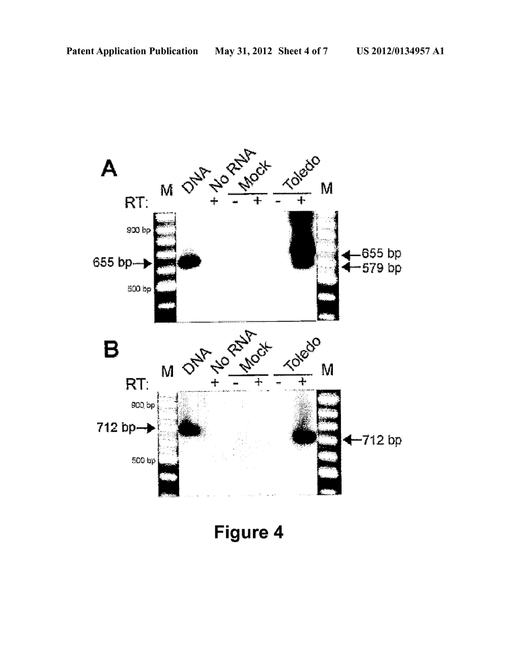 LATENT PHASE VIRAL INTERLEUKIN-10-(VII-10) AND USES THEREOF - diagram, schematic, and image 05