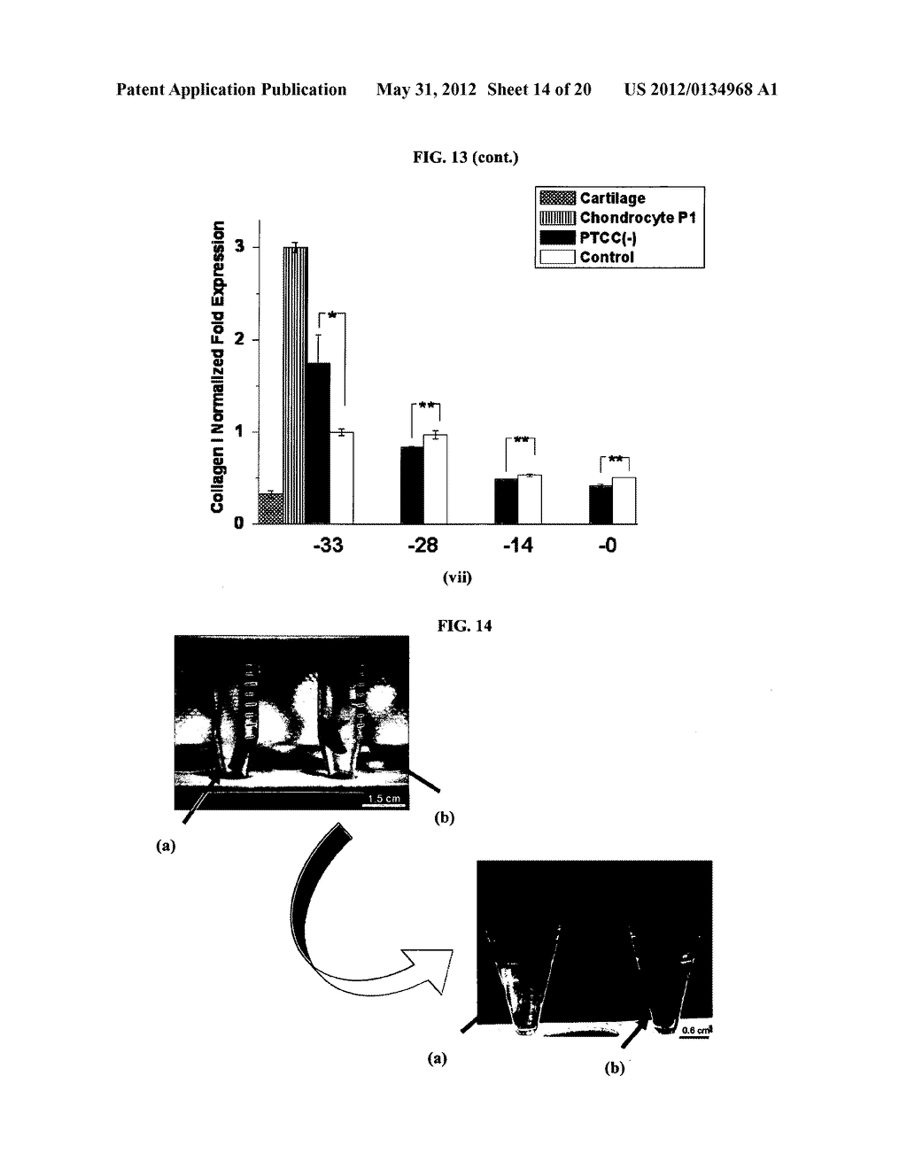 Composition for manufacturing a scaffold for tissue engineering, and a     method of making it - diagram, schematic, and image 15