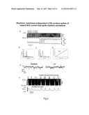 ENGINEERED BIOLOGICAL PACEMAKERS diagram and image