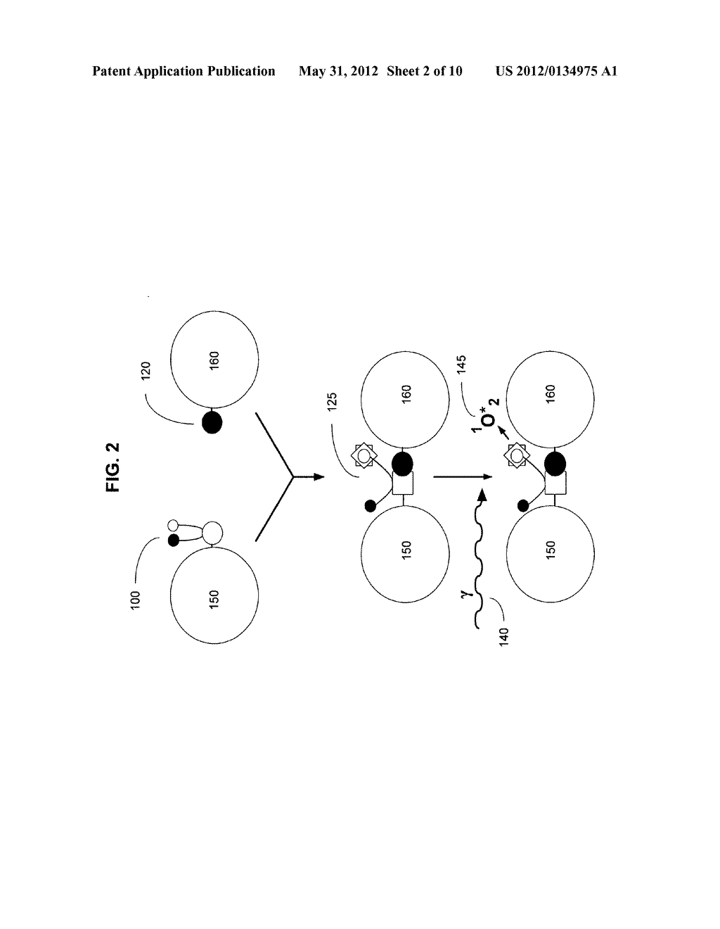 Biological targeting compositions and methods of using the same - diagram, schematic, and image 03