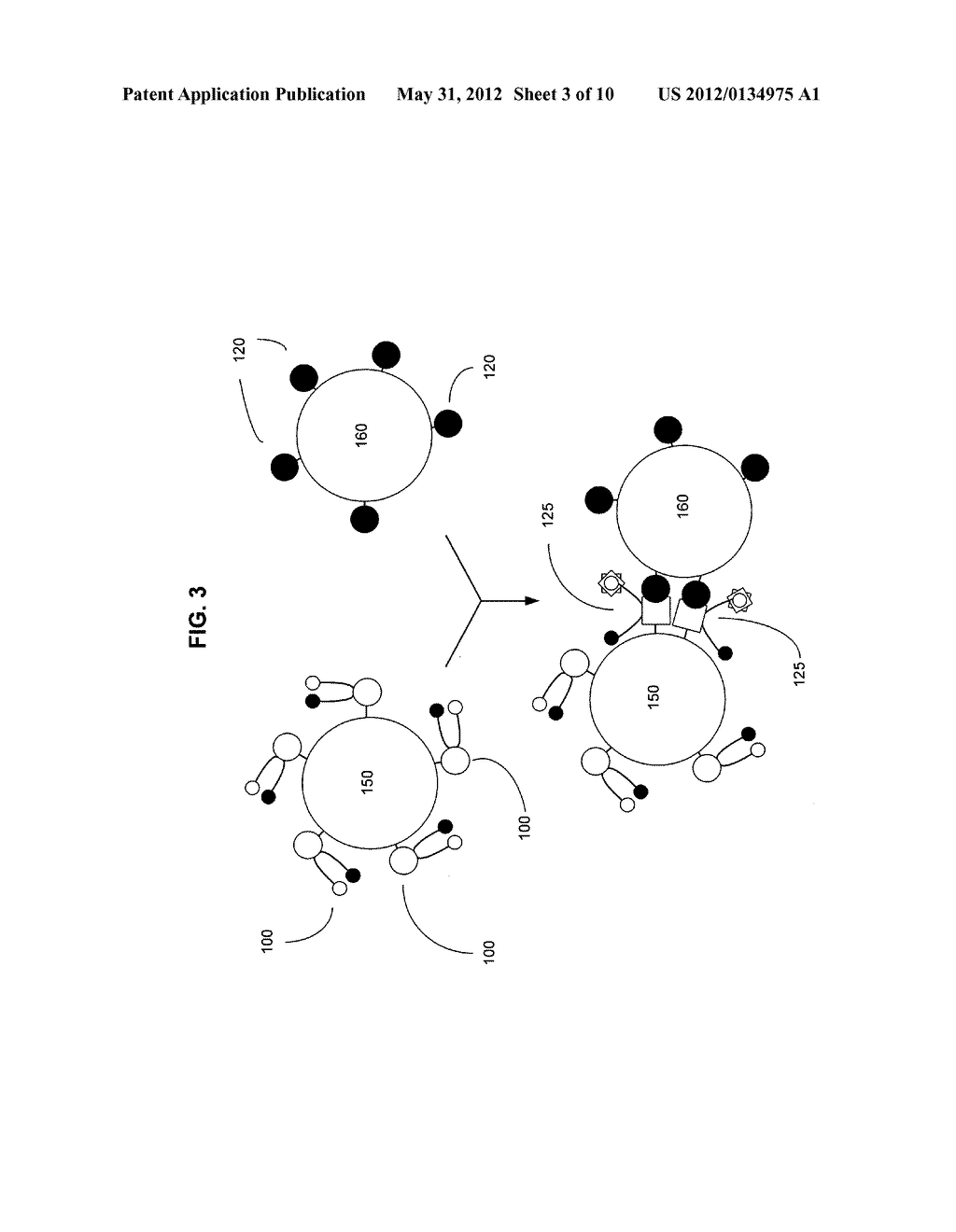 Biological targeting compositions and methods of using the same - diagram, schematic, and image 04