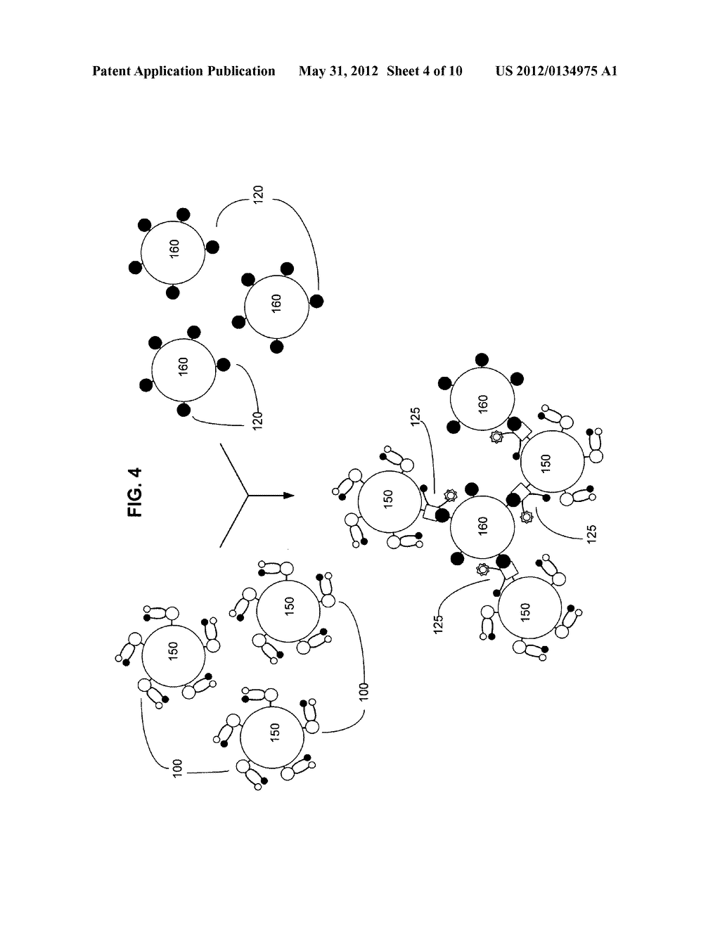 Biological targeting compositions and methods of using the same - diagram, schematic, and image 05