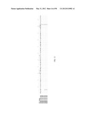 POLYPEPTIDES, ANTIBODY VARIABLE DOMAINS & ANTAGONISTS diagram and image