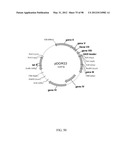 POLYPEPTIDES, ANTIBODY VARIABLE DOMAINS & ANTAGONISTS diagram and image