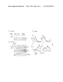 METHODS FOR MODULATING METABOLIC AND CIRCADIAN RHYTHMS diagram and image