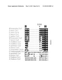 METHODS FOR MODULATING METABOLIC AND CIRCADIAN RHYTHMS diagram and image