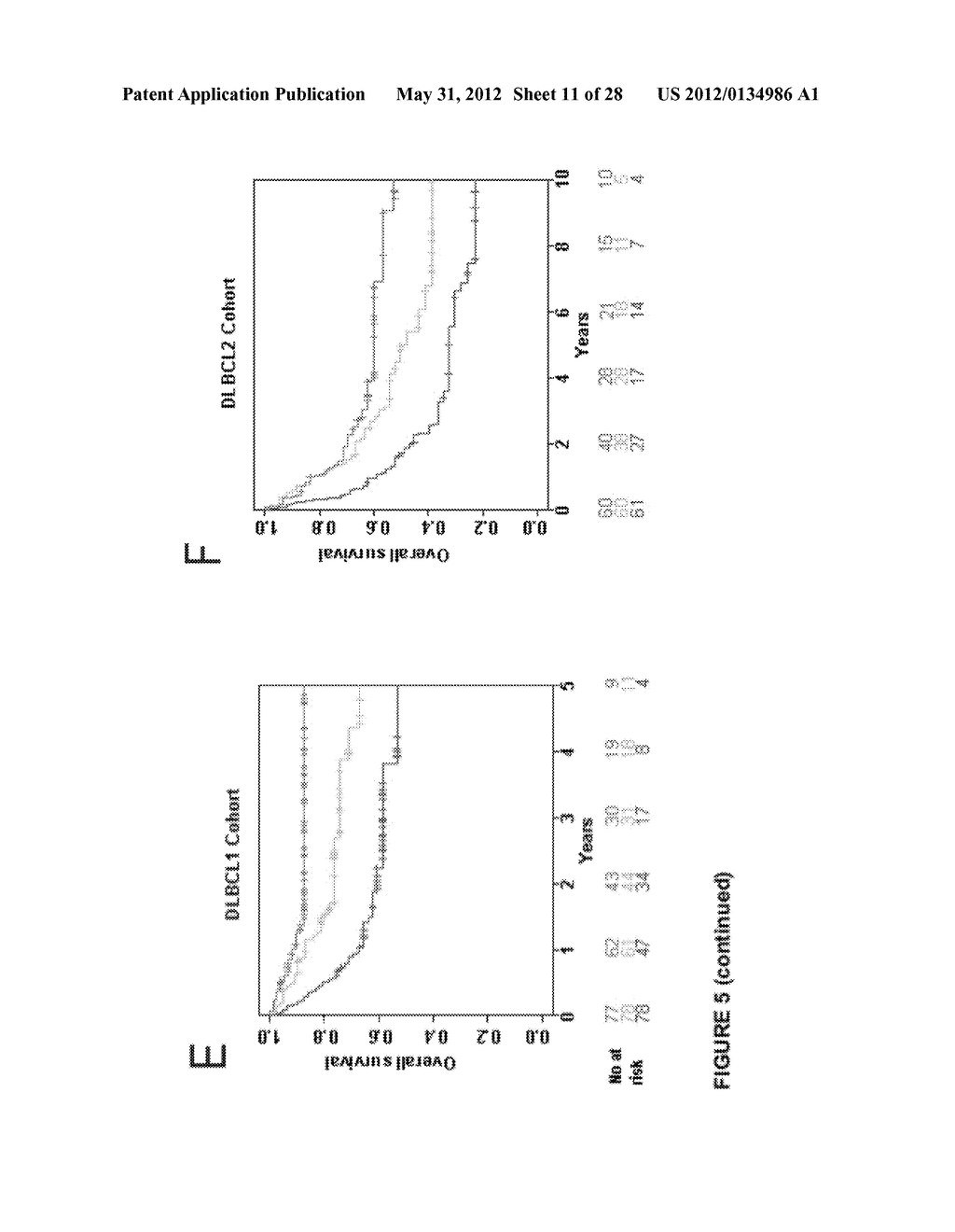 Methods of Prognosis for Non-Hodgkin Lymphoma - diagram, schematic, and image 12