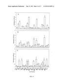 PORIN B (PorB) AS A THERAPEUTIC TARGET FOR PREVENTION AND TREATMENT OF     INFECTION BY CHLAMYDIA diagram and image