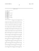 ANTI-ILT7 ANTIBODY diagram and image