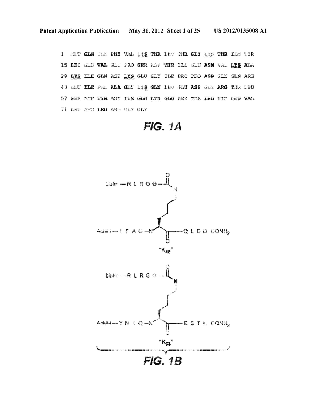 METHODS AND COMPOSITIONS FOR TARGETING POLYUBIQUITIN - diagram, schematic, and image 02