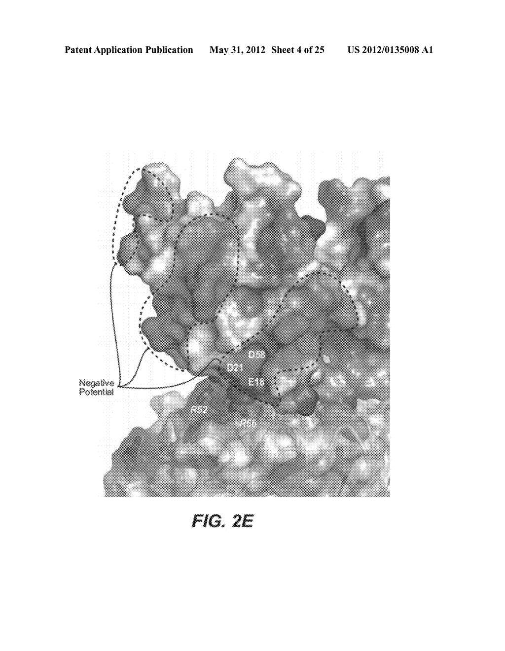 METHODS AND COMPOSITIONS FOR TARGETING POLYUBIQUITIN - diagram, schematic, and image 05