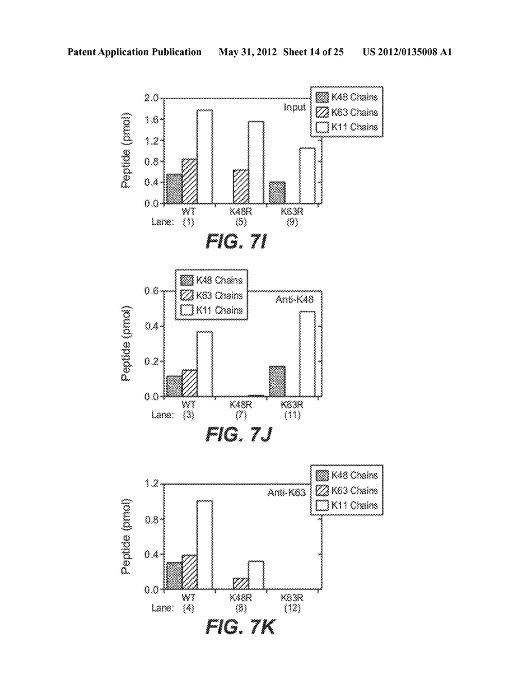 METHODS AND COMPOSITIONS FOR TARGETING POLYUBIQUITIN - diagram, schematic, and image 15