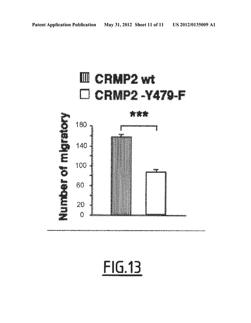 Cleaved and Phosphorylated CRMP2 as Blood Marker of Inflammatory Diseases     of the Central Nervous System - diagram, schematic, and image 12