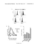 Method for in vivo expansion of T regulatory cells diagram and image