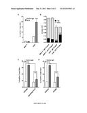 Method for in vivo expansion of T regulatory cells diagram and image