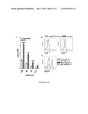 Method for in vivo expansion of T regulatory cells diagram and image