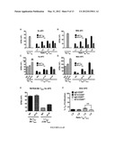 Method for in vivo expansion of T regulatory cells diagram and image