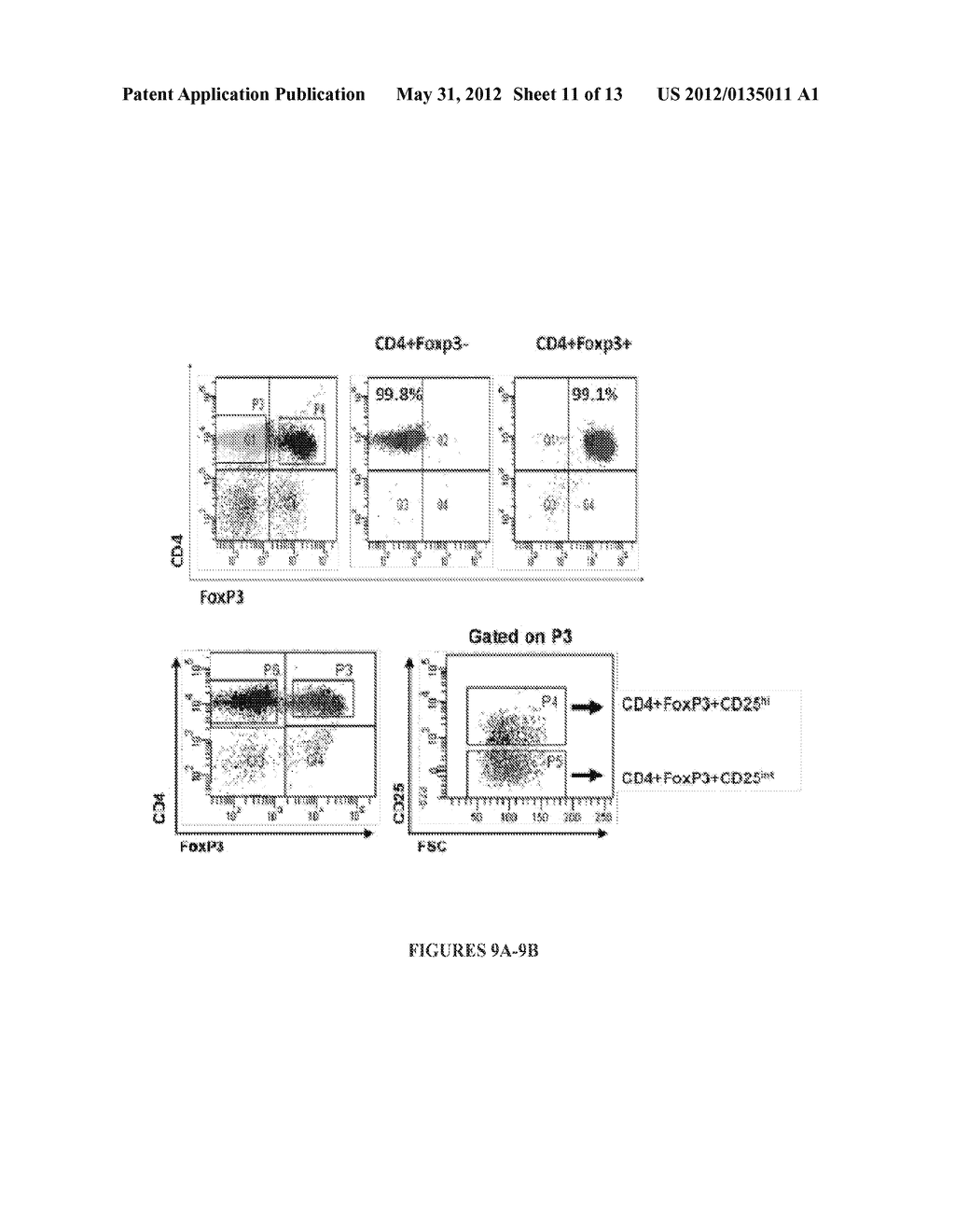 Method for in vivo expansion of T regulatory cells - diagram, schematic, and image 12