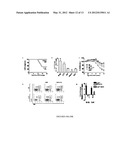 Method for in vivo expansion of T regulatory cells diagram and image