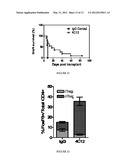 Method for in vivo expansion of T regulatory cells diagram and image