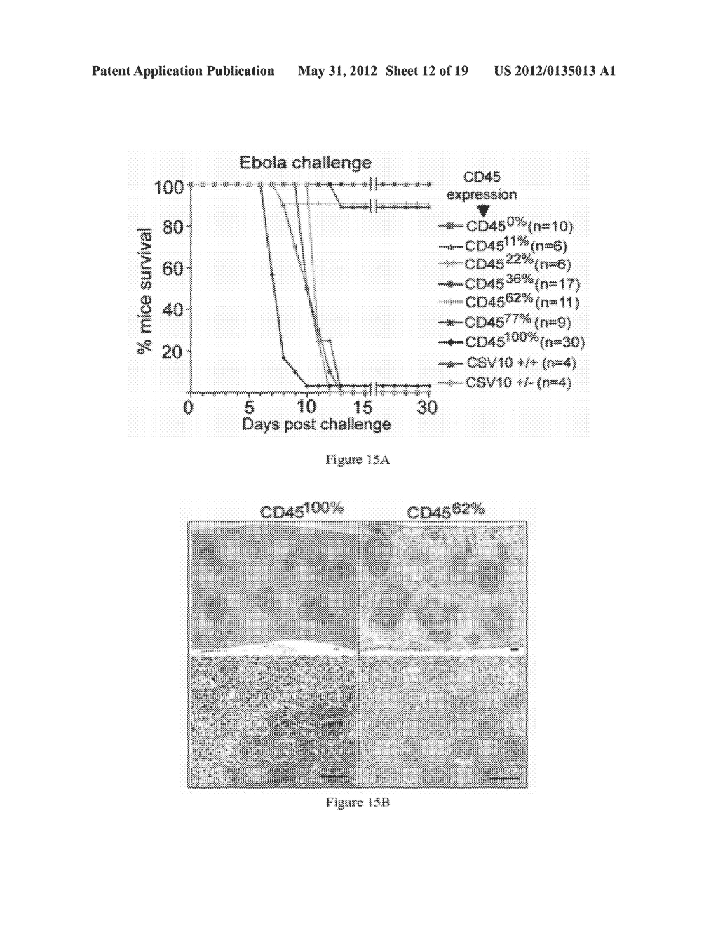 CD45 and Methods and Compounds Related Thereto - diagram, schematic, and image 13