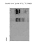 CELL PENETRATING PEPTIDES AND ITS USE FUSED TO BIOMOLECULES WITH     THERAPEUTIC ACTION diagram and image