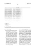 PROTEINS USED FOR THE DIAGNOSIS OF LYME BORRELIOSIS diagram and image