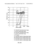 EXPRESSION OF PROTECTIVE ANTIGENS IN TRANSGENIC CHLOROPLASTS AND THE     PRODUCTION OF IMPROVED VACCINES diagram and image