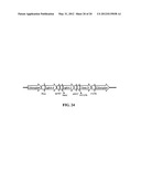 EXPRESSION OF PROTECTIVE ANTIGENS IN TRANSGENIC CHLOROPLASTS AND THE     PRODUCTION OF IMPROVED VACCINES diagram and image