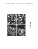 GENERATION OF VASCULARIZED HUMAN HEART TISSUE AND USES THEREOF diagram and image