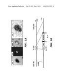 GENERATION OF VASCULARIZED HUMAN HEART TISSUE AND USES THEREOF diagram and image