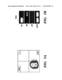 GENERATION OF VASCULARIZED HUMAN HEART TISSUE AND USES THEREOF diagram and image